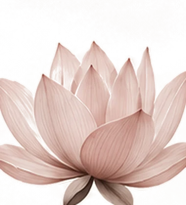 Ilustração de flor de lótus